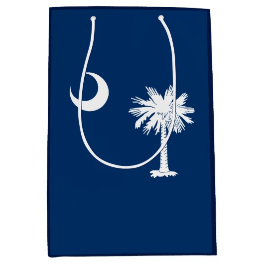 サウスカロライナ州旗デザインデコール ミディアムペーパーバッグ (正面)