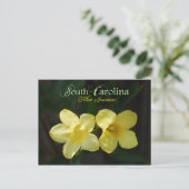 サウスカロライナ州花:イエロージェサミン ポストカード (スタンド正面)