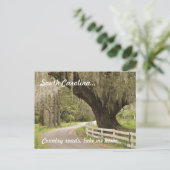 サウスカロライナ州道はがき ポストカード (スタンド正面)