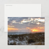 サウスカロライナ州 オリジナル旅行写真 ポストカード (正面/裏面)