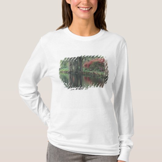 サウスカロライナ州, チャールストン Tシャツ (正面)