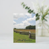 サウスカロライナ州 ポストカード (スタンド正面)