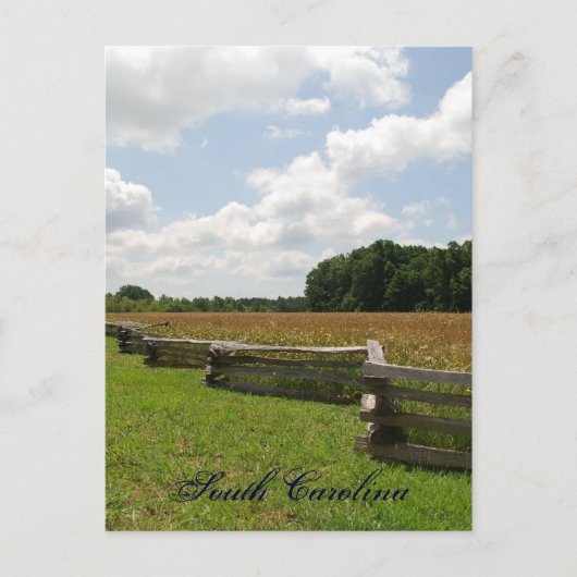 サウスカロライナ州 ポストカード (正面)