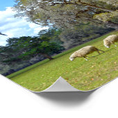 サウスカロライナ州Middleton Placeで羊の放牧 ポスター (角)