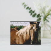 サウスカロライナ湿地タッキー ポストカード (スタンド正面)