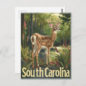 サウスカロライナ白尾の鹿 ポストカード (正面/裏面)