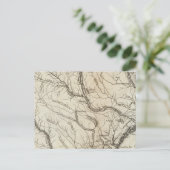 サウスカロライナ4 ポストカード (スタンド正面)