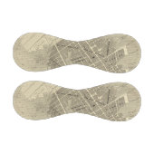 サウスカロライナ，チャールストン 野球ボール (パネル)