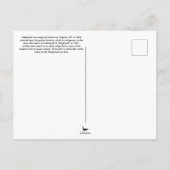 サウスカロライナ ポストカード (裏面)