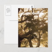 サウスカロライナ ポストカード (正面/裏面)