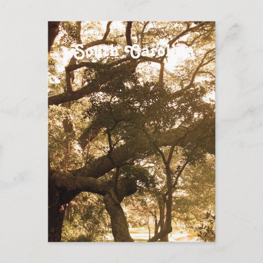 サウスカロライナ ポストカード (正面)