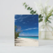 サウスシーアイランドビーチフィジー ポストカード (スタンド正面)