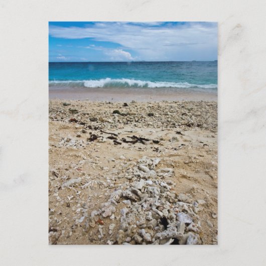 サウスシーアイランドビーチフィジー ポストカード (正面)