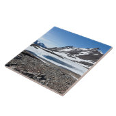 サウスジョージアランドスケープ タイル (側面)