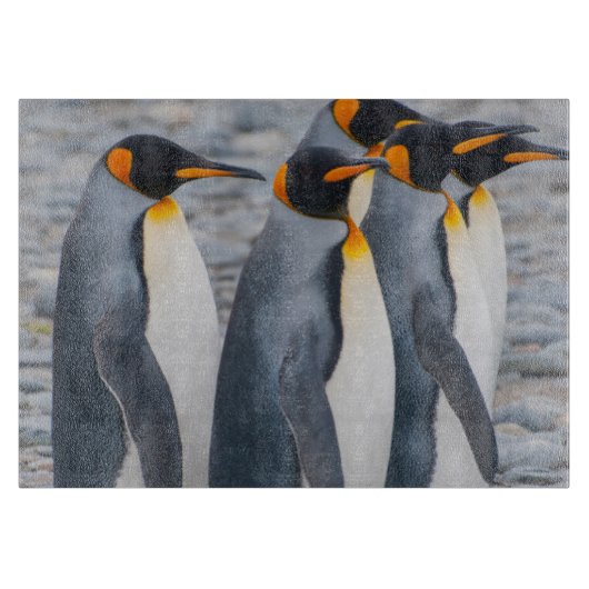 サウスジョージア島 キングペンギン カッティングボード (正面)