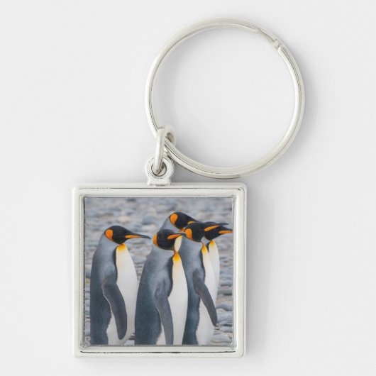サウスジョージア島 キングペンギン キーホルダー (正面)
