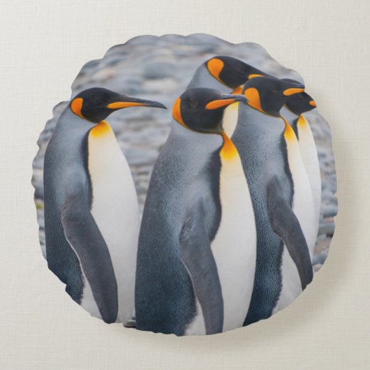 サウスジョージア島 キングペンギン ラウンドクッション (正面)