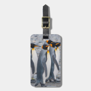 サウスジョージア島 キングペンギン ラゲッジタグ