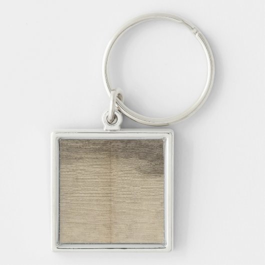 サウスジョージア州ポジションベイ キーホルダー (正面)