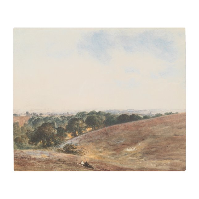 サウスダウンズのビュー – John Martin メタルプリント (正面)