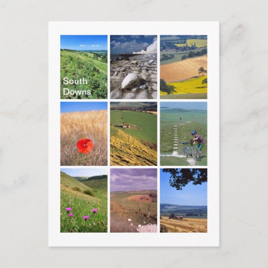 サウスダウンズ ポストカード (正面)