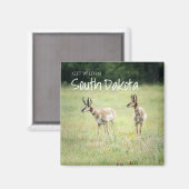 サウスダコタでワイルド マグネット (正面/裏面)