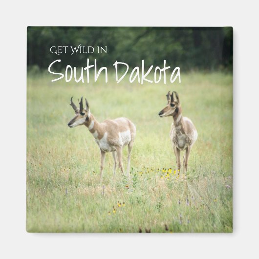 サウスダコタでワイルド マグネット (正面)