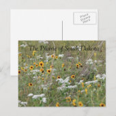 サウスダコタのはがきの大草原 ポストカード (正面/裏面)