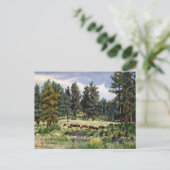 サウスダコタのバッファローの風光明媚な牧草地 ポストカード (スタンド正面)