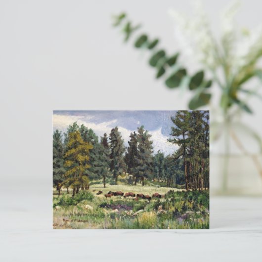 サウスダコタのバッファローの風光明媚な牧草地 ポストカード (スタンド正面)