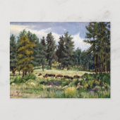 サウスダコタのバッファローの風光明媚な牧草地 ポストカード (正面)