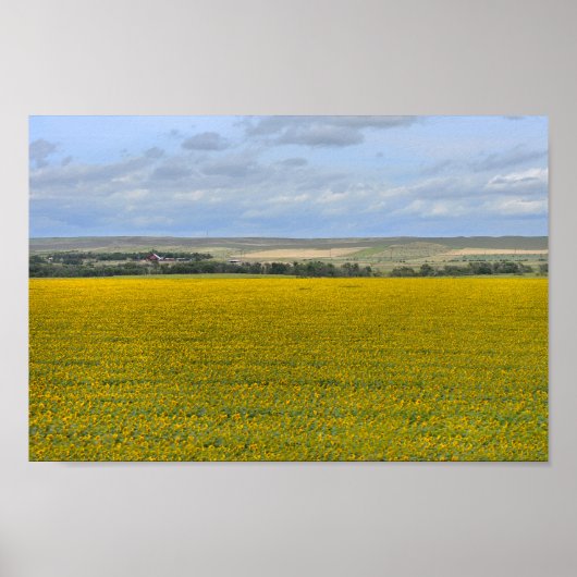 サウスダコタサンフラワーファーム、パインターリー ポスター (正面)