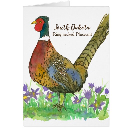 サウスダコタリングや輪ネックキフェアサン空白のト (正面)