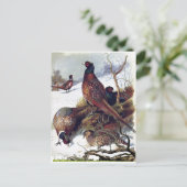 サウスダコタリングや輪首キジヴィンテージはがき 案内ポストカード (スタンド正面)