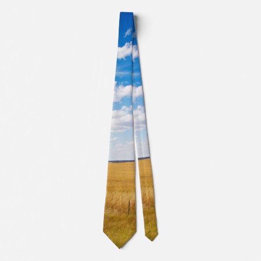 サウスダコタ地方の風景 ネクタイ (正面)