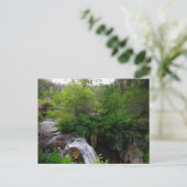 サウスダコタ州のラフ滝 ポストカード (スタンド正面)