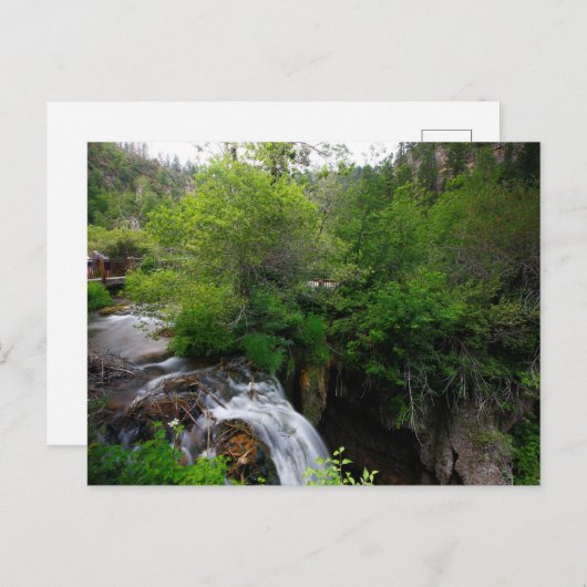 サウスダコタ州のラフ滝 ポストカード (正面/裏面)