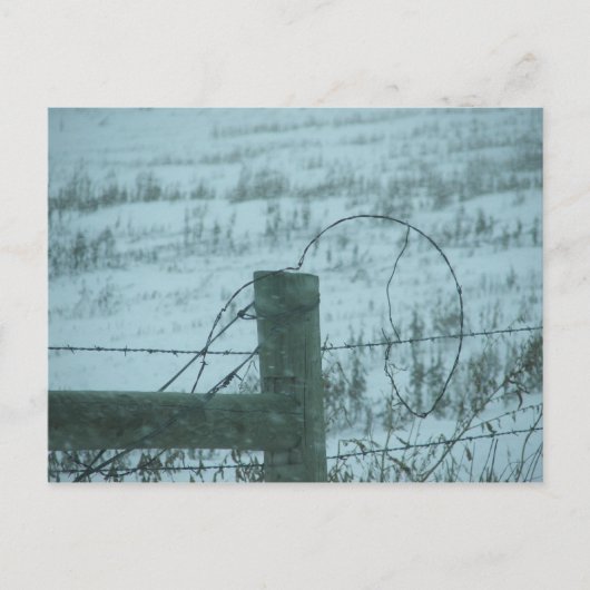 サウスダコタ州の吹雪 ポストカード (正面)