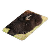 サウスダコタ州アメリカンバイソン マグネット (左側)