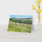 サウスダコタ州アンテロープ学士号 カード (黄色い花)