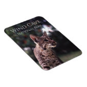 サウスダコタ州ウィンドケーブ国立公園のボブキャット マグネット (右側)