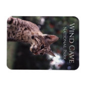 サウスダコタ州ウィンドケーブ国立公園のボブキャット マグネット (横)