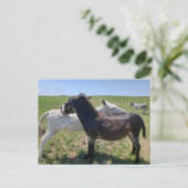 サウスダコタ州カスター州パーク，ワイルドバロス ポストカード (スタンド正面)