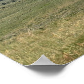 サウスダコタ州カスター州パークBison Herd ポスター (角)