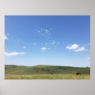サウスダコタ州カスター州パークBison Herd ポスター