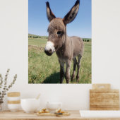 サウスダコタ州カスター州パークYoung Burro ポスター (キッチン)