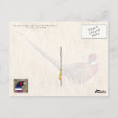 サウスダコタ州バード：リングや輪首のキジ ポストカード (裏面)