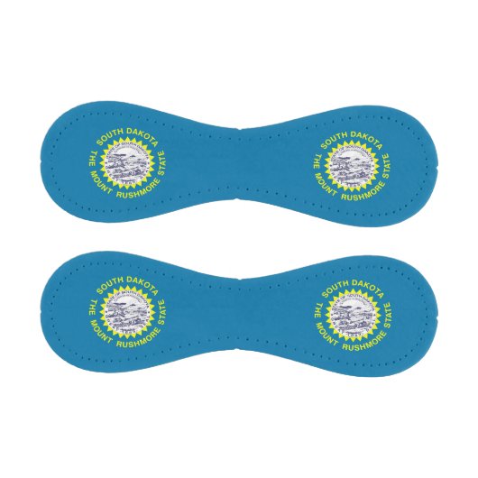 サウスダコタ州旗を持つ愛国野球 野球ボール (パネル)