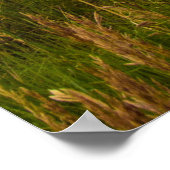 サウスダコタ州，ベアビュート ポスター (角)