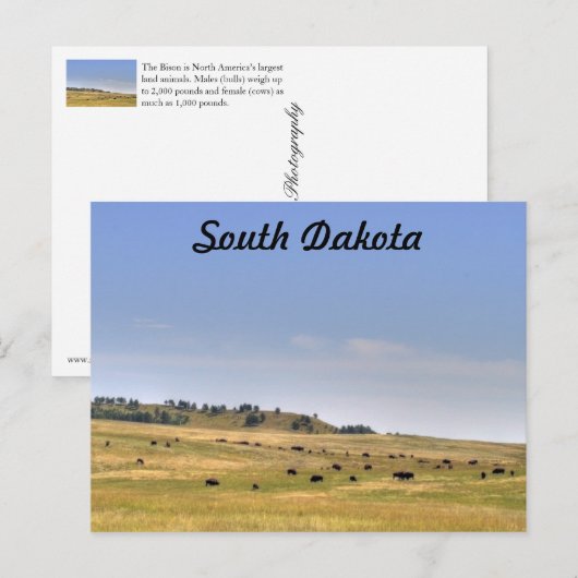 サウスダコタ ポストカード (正面/裏面)